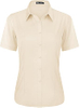 Striped Wrinkle Free Womens Blouse Shirt