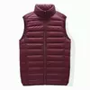 Mens Winter Fleece Lined Stand Collar Gilet