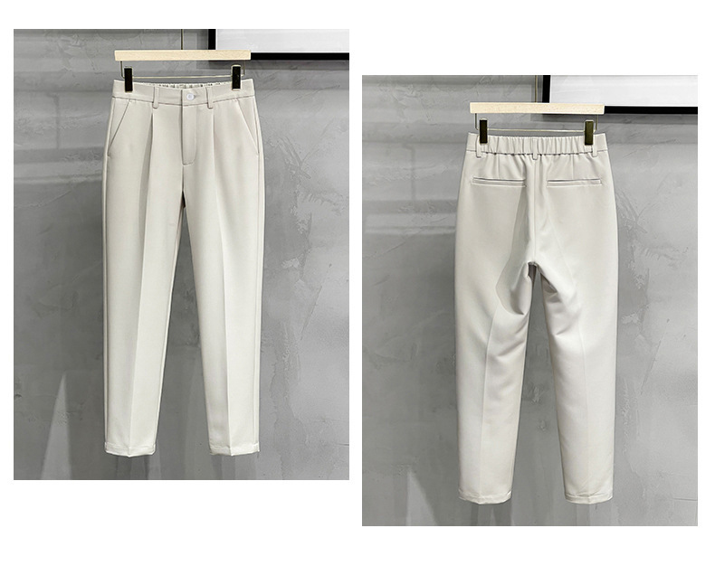Semi Elastic Waist Pleated Casual Trousers (4)