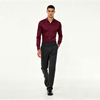 Men's Wrinkle-Free Shirt