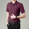 Non Iron Slim Fit Business Mens Shirt